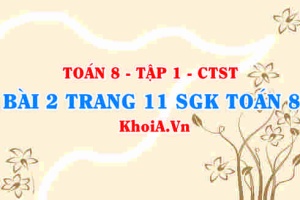 Bài 2 trang 11 SGK Toán 8 Tập 1 Chân trời sáng tạo
